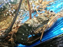 -徐记海鲜(大雁塔|金都店)