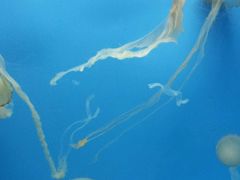 -常州海昌海洋探索馆