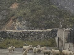 -白草畔自然风景区