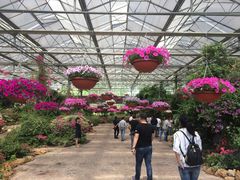 -南通洲际绿博园