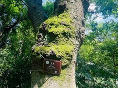 -绮园景区