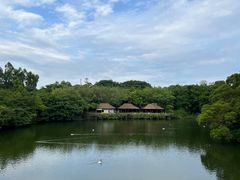 -广州长隆野生动物世界
