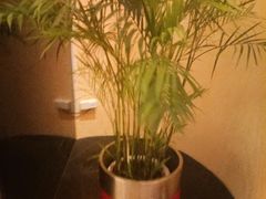 -镇江润扬大桥酒店