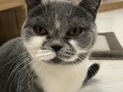 -猫和宫(六道口店)