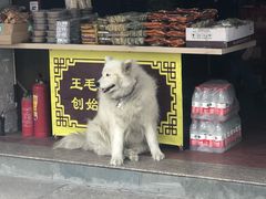 -蒋氏故居