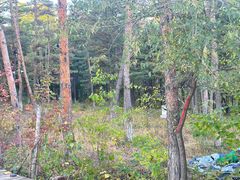 -帽儿山国家森林公园