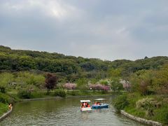 -苏州上方山国家森林公园