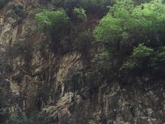 -北京上方山国家森林公园