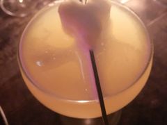 -TZ House音乐现场(茅台店)