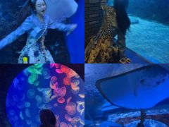 -成都浩海立方海洋公园