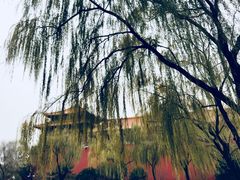 -东华门大街小区