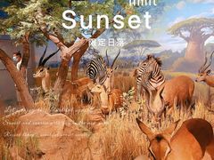 -陕西自然博物馆