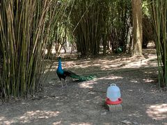 -宁波野生动物园