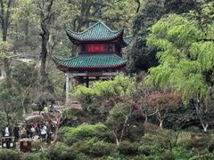 -岳麓山风景名胜区