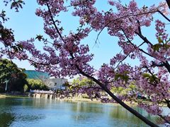 -新江湾城公园