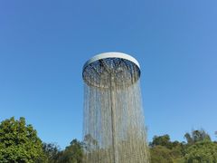 -广东花都湖国家湿地公园