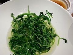 -苏帮袁Sue Cuisine(将台店)