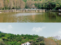 -深圳市中科院仙湖植物园