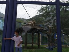 -大连森林动物园