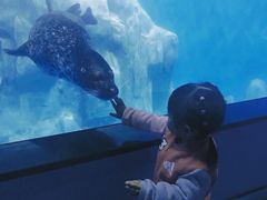 -多彩贵州城极地海洋世界