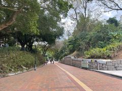 -九龙公园