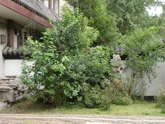 景点-郑和公园