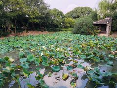 -韩湘水博园