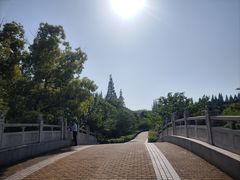 -同里国家湿地公园