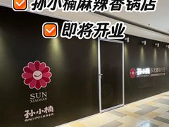 -鹏欣水游城
