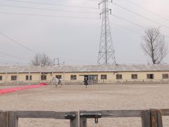 -北京群众马术培训基地