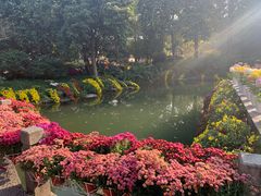 -杭州植物园