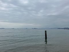 -杨梅坑