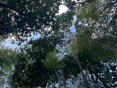 -磐安十八涡风景区