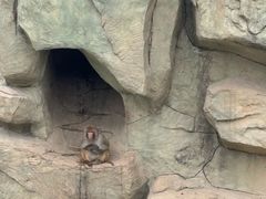-五龙山野生动物王国