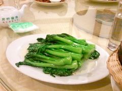 -绿华园休闲山庄