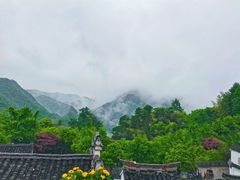 -四明山国家森林公园