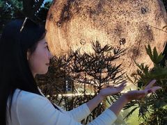 -恬阿姨庭院餐厅·生日宴