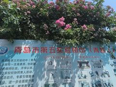 -山东省青岛第六十二中学