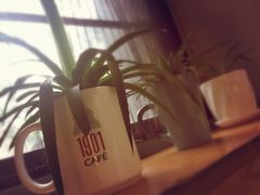 1901&nbsp;Cafe-1901 Cafe(西四店)
