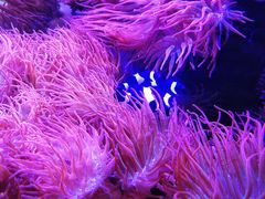 -双季花艺园艺市场(浦东店)