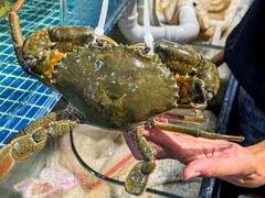 -阳江餐厅·30年老字号·粤菜海鲜大排档
