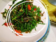 -阿西娅食府(中关村店)