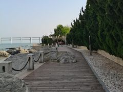 -辰熙ACX星海艺术中心