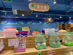-龟与熊猫宠物公园(南坪店)