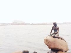 -美人鱼