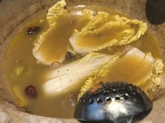 -七采菌园·野生菌石锅鱼(环城北路店)