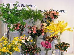 -Blue Concept Cafe&Farm·關於藍