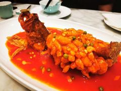 鳜鱼-蝶园·装修中(BFC外滩金融中心店)