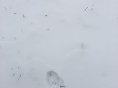 -长白山万达国际滑雪场