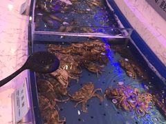 -澜悦港海鲜体验主题餐厅